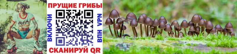 Псилоцибиновые грибы ЛСД  Невинномысск 
